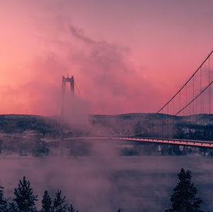 Meet your Posher, Maya